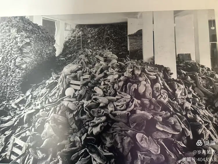 焚烧炉位于营地的一角,士兵会将毒气室里的尸体运到这里